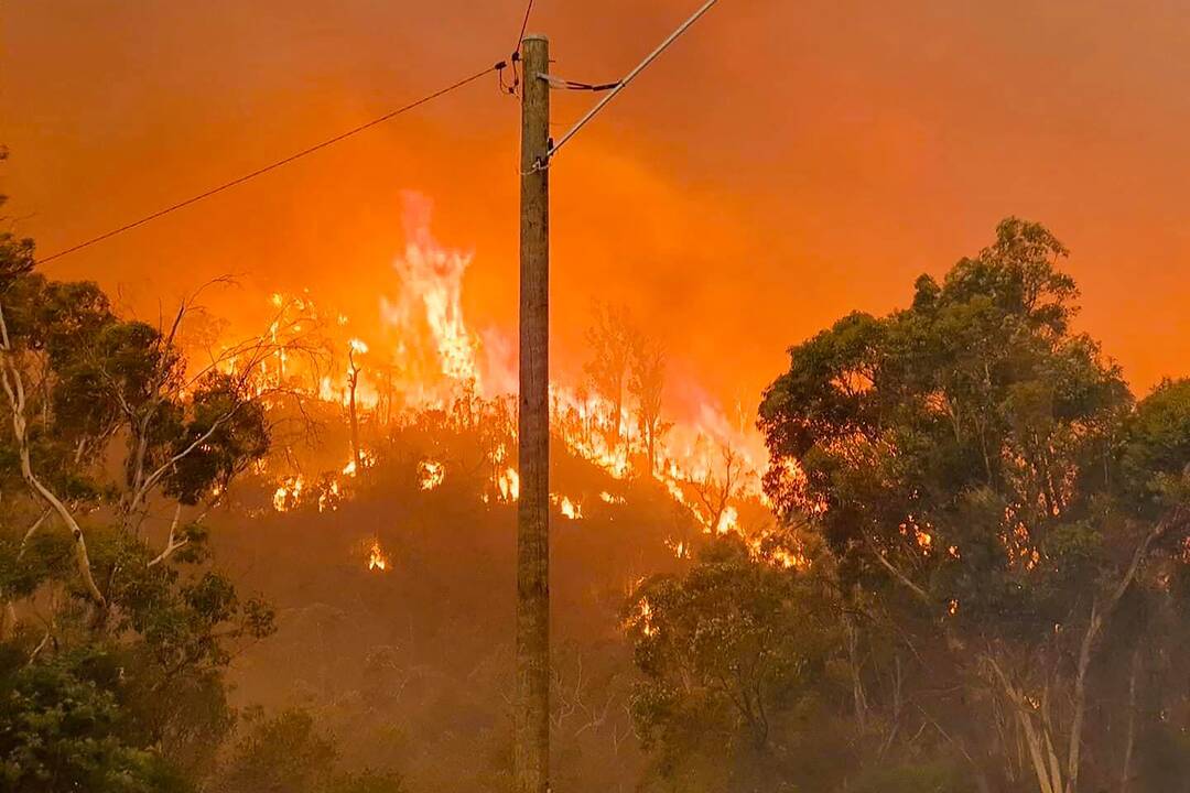 Australija: didelis gaisras sunaikino daugiau kaip 6 tūkst. hektarų miško ir dešimtis namų