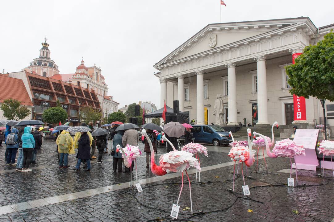 Protesto akcija Vilniuje prieš ribojimus nepasiskiepijusiems
