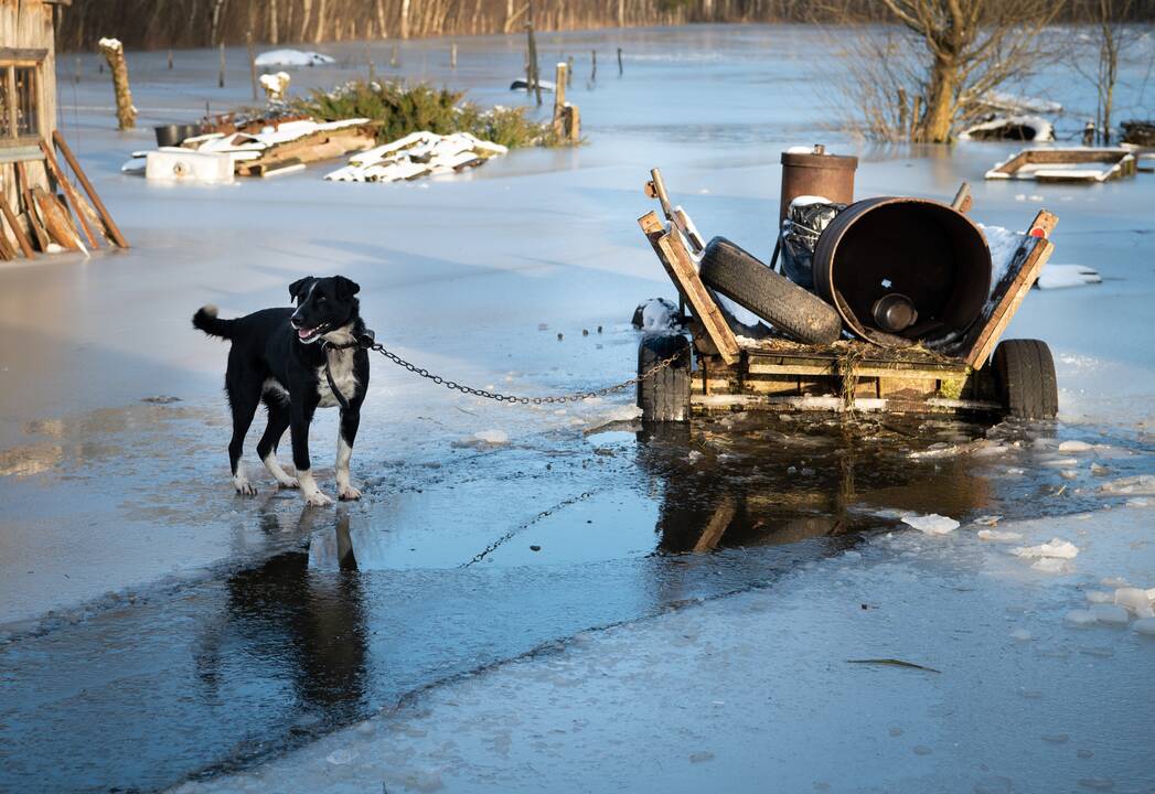 Potvynis Šilutės rajone