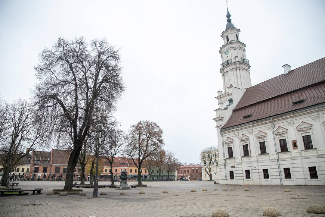 Terminai: Vilniaus gatvę tikimasi sutvarkyti per 15 mėnesių.