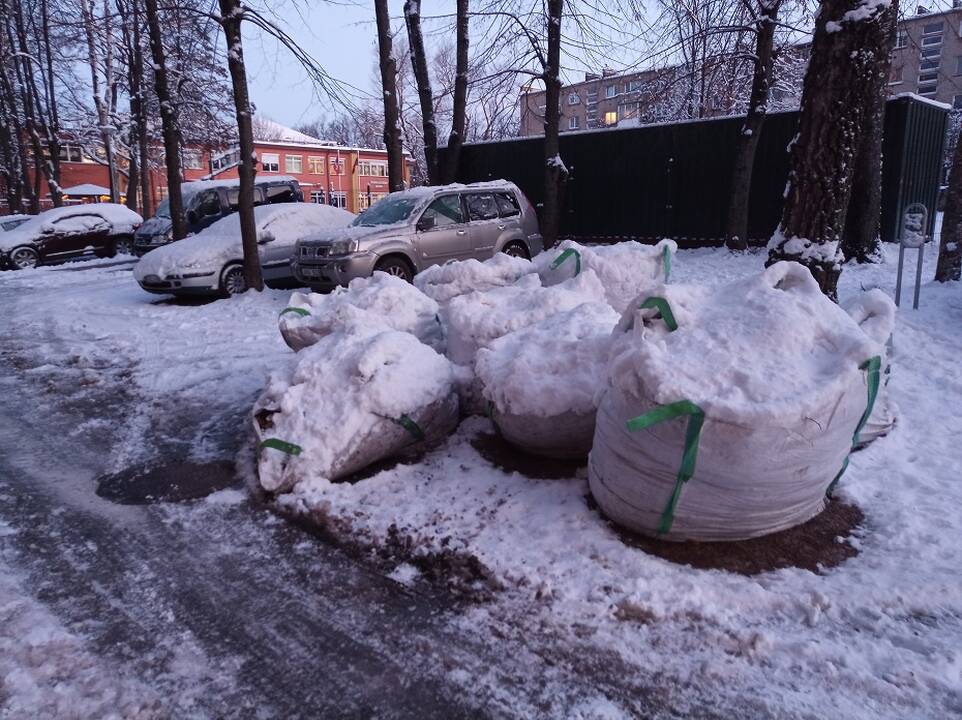 Realybė: pilni senų lapų maišai prie J.Janonio gatvės 28 namo savaitgalį virto nepakeliamais ledo luitais.