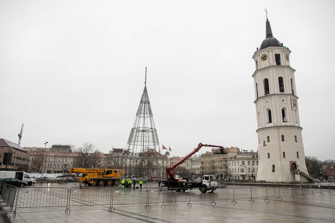 Katedros aikštėje pradėta statyti Vilniaus Kalėdų eglė