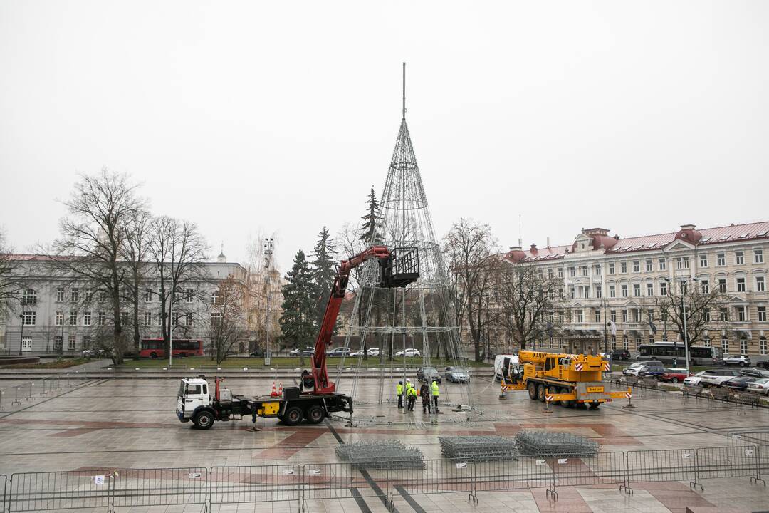 Katedros aikštėje pradėta statyti Vilniaus Kalėdų eglė