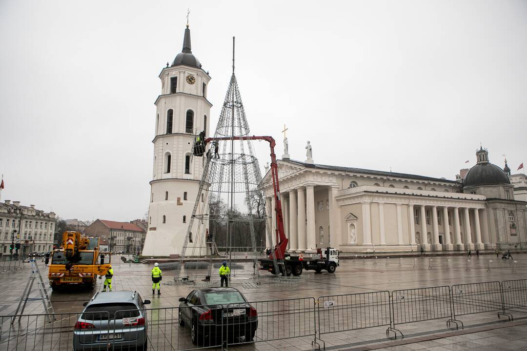 Katedros aikštėje pradėta statyti Vilniaus Kalėdų eglė