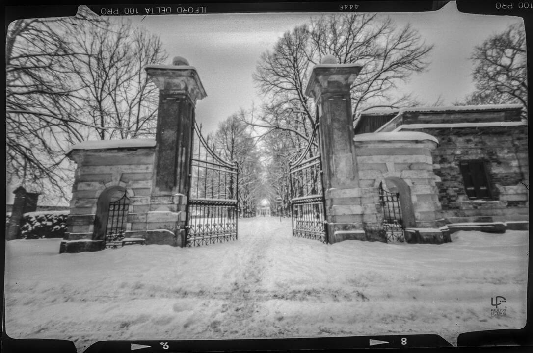 Pašaukimas: "Kai mane kas nors pavadina fotomenininku, visada pataisau, kad esu fotožurnalistas iki kaulų smegenų", – sako P.Lileikis.