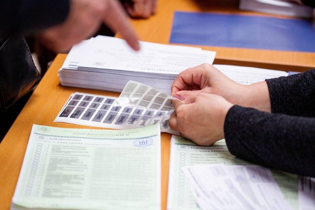 Seimo pirmininkės siūlomas kompromisas dėl tiesioginių merų rinkimų išsaugojimo tenkina ne visus