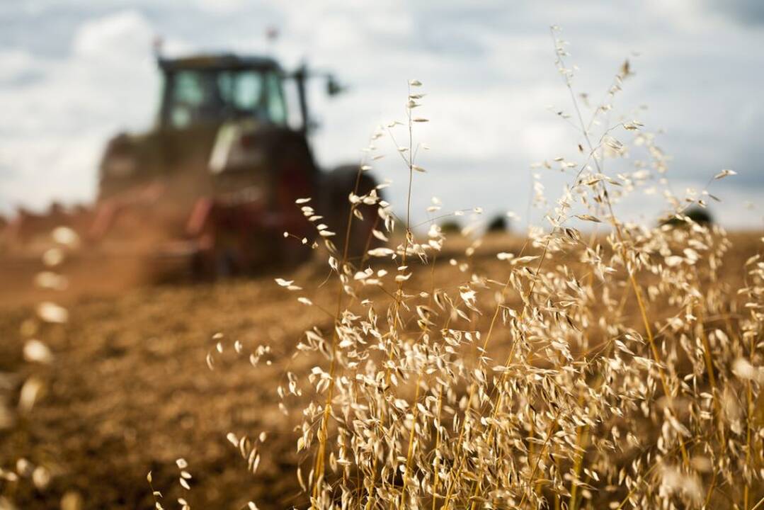TVF teigiamai įvertino Lietuvos ūkio atsparumą, bet siūlo galvoti apie produktyvumo didinimą