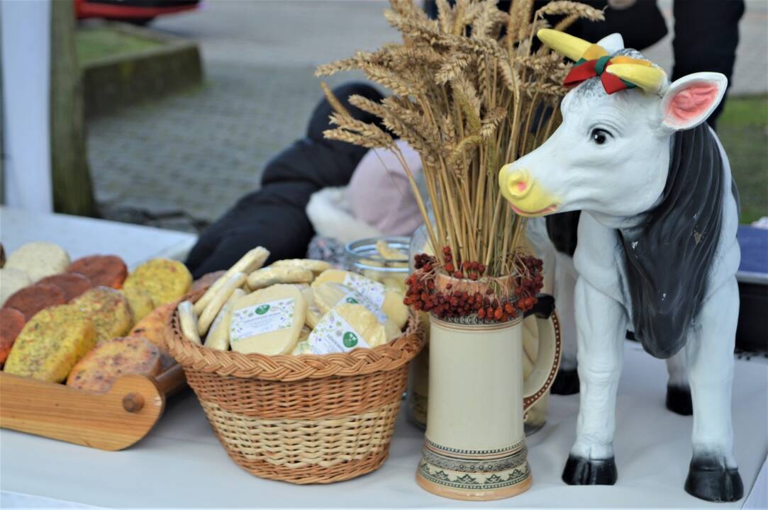Palanga šurmuliuoja – prasidėjo „Stintų šventė“