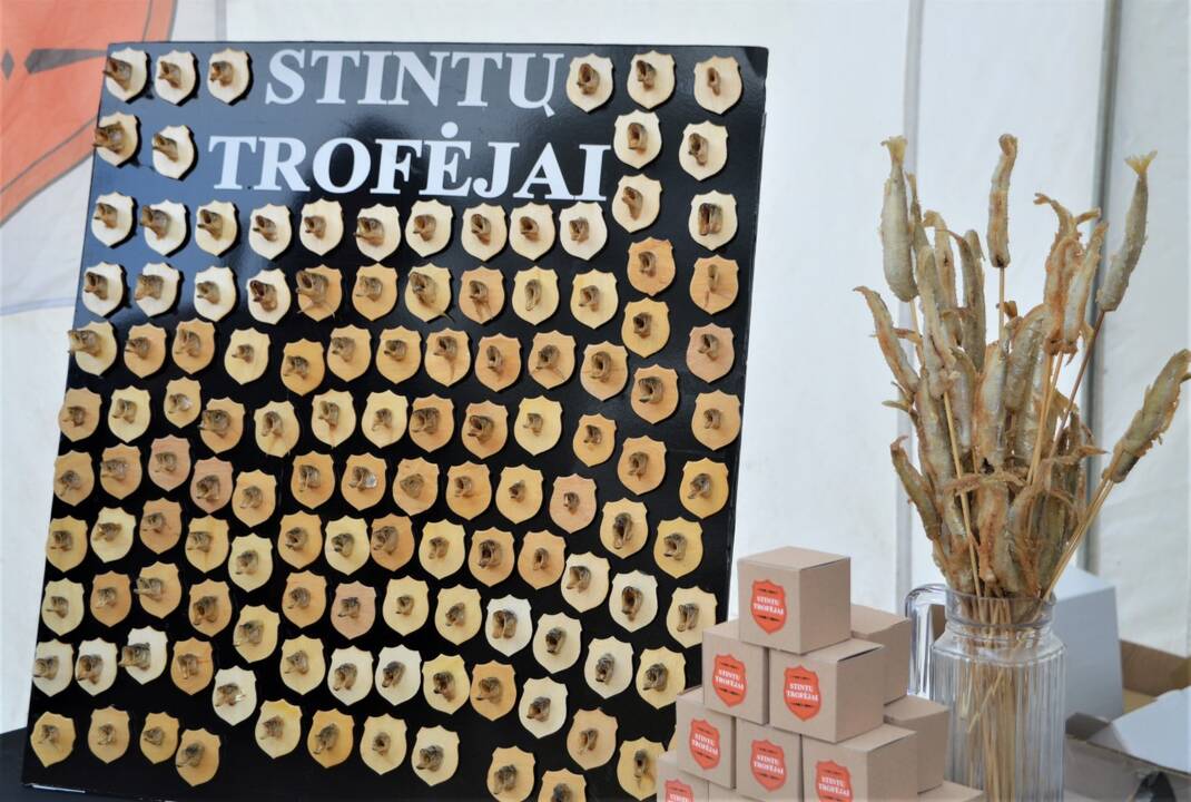 Palanga šurmuliuoja – prasidėjo „Stintų šventė“