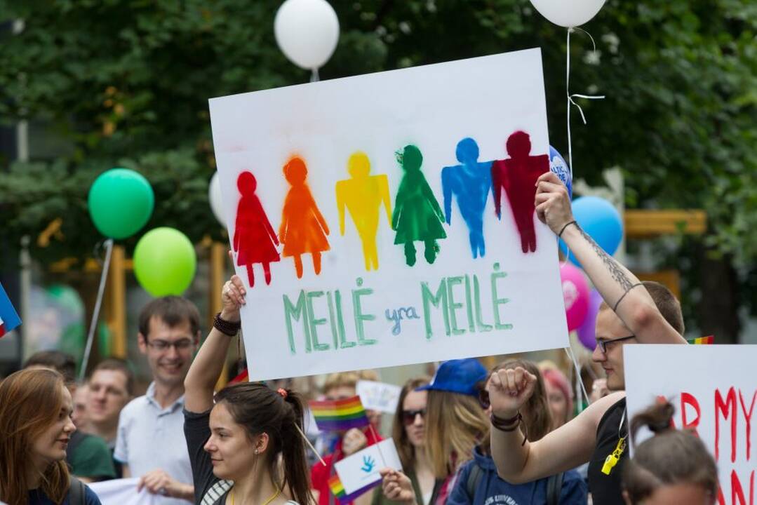 V. Čmilytė-Nielsen: tikslas Partnerystės įstatymą Seimui pateikti rudens sesijoje – išlieka