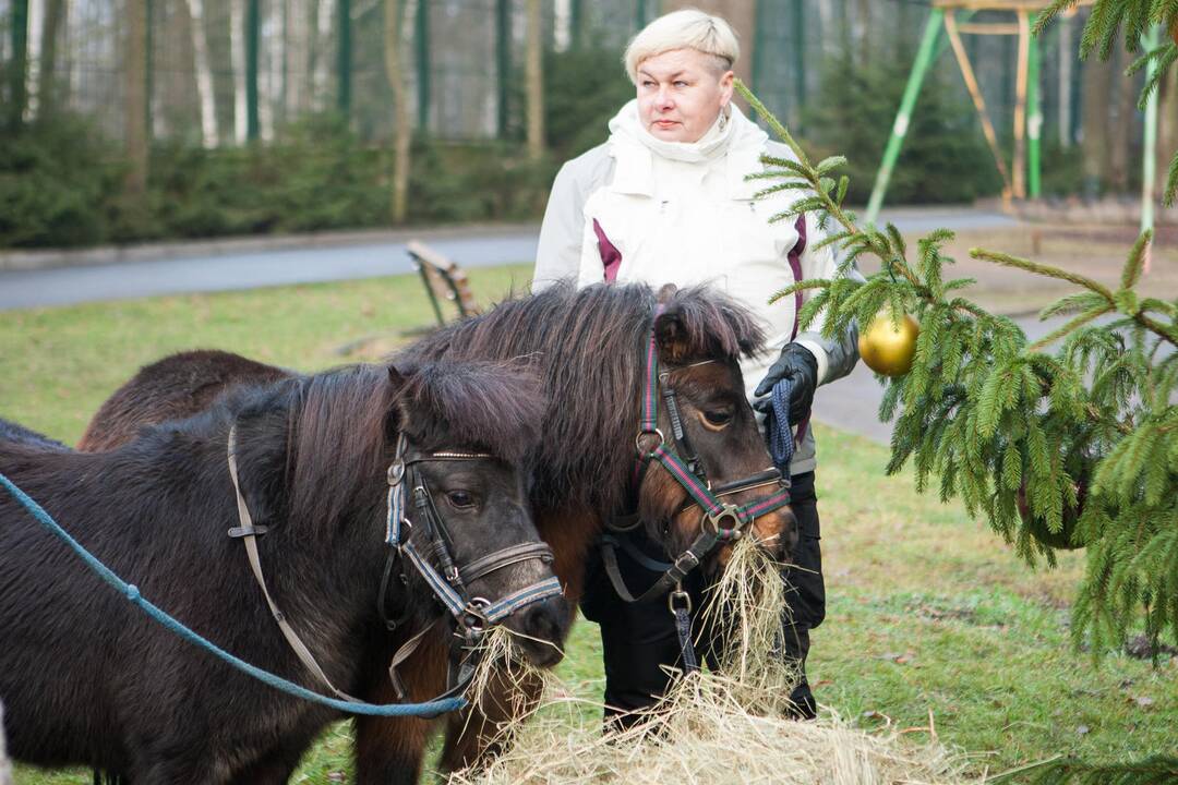 Zoologijos sode šventė