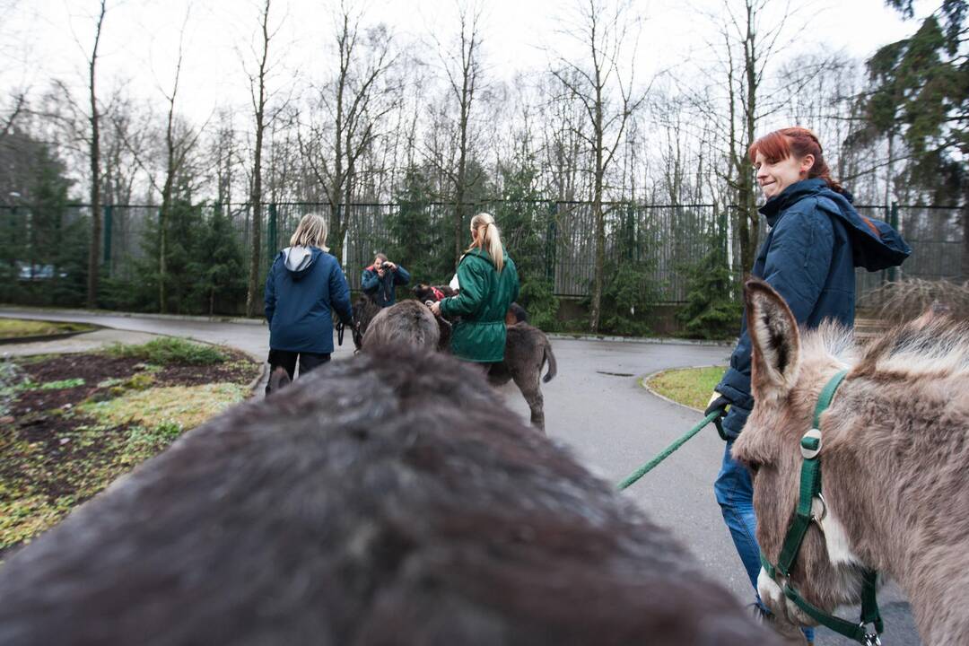 Zoologijos sode šventė