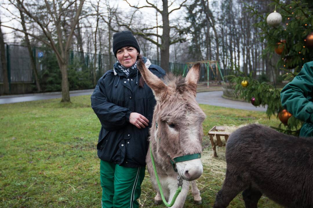 Zoologijos sode šventė