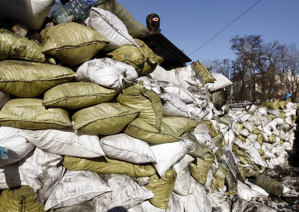 Ukrainos opozicija ruošiasi naujam mitingui