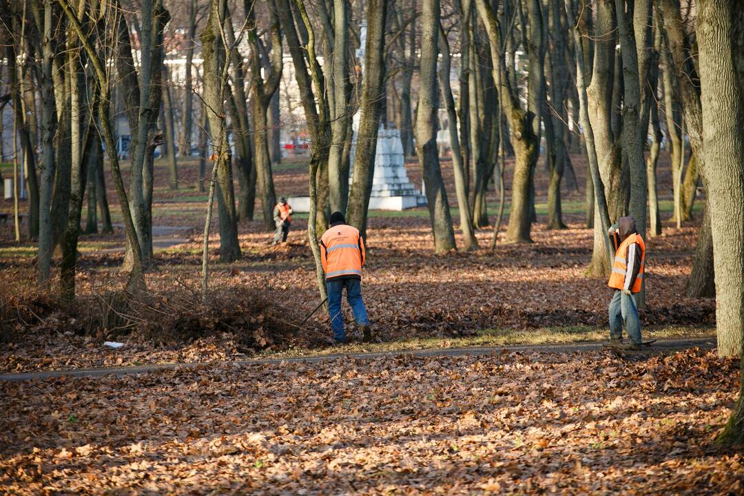 Moteris buvo užpulta Ramybės parke