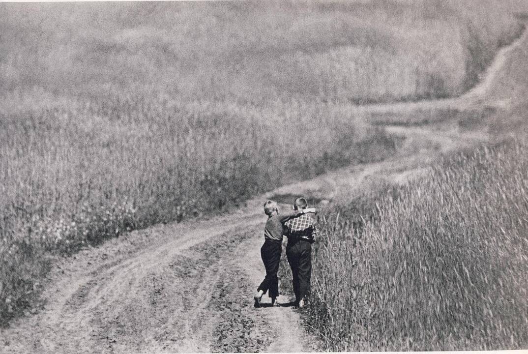 Iš ciklo „Žydėjimas“ (1974 – 1984)