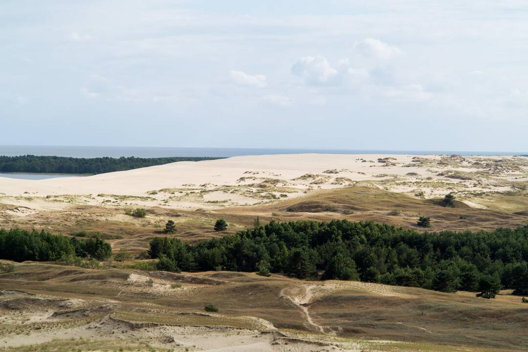 Į Neringą – su lankytojo bilietu