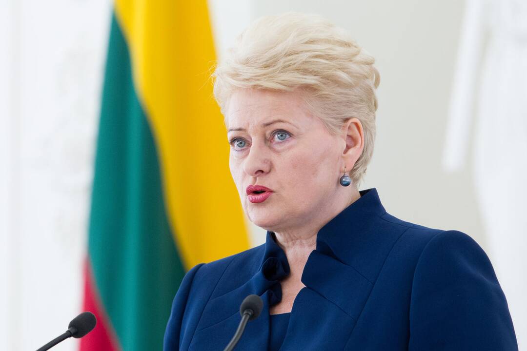 Prezidentė: nustebino uždarbiavimo iš europinių pinigų mastai