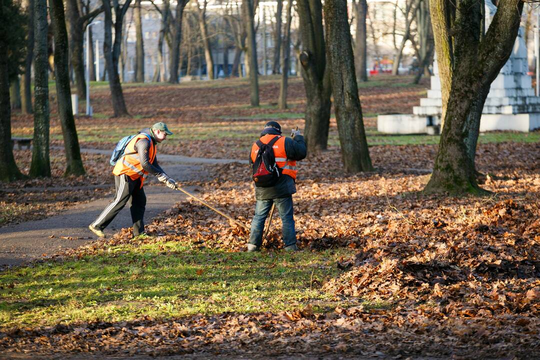 Natūralios trąšos ar aklas abejingumas?