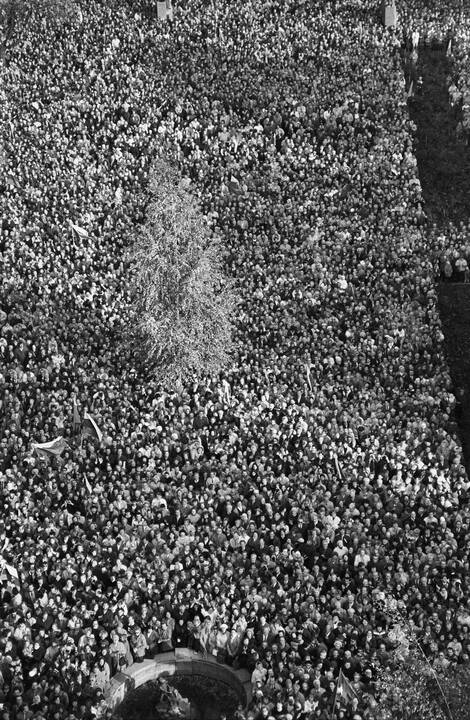 Akimirkos: vienas žymiausių šalies fotomenininkų džiaugiasi ne tik nuotraukomis, bet ir galimybe būti istorinių įvykiu liudininku.