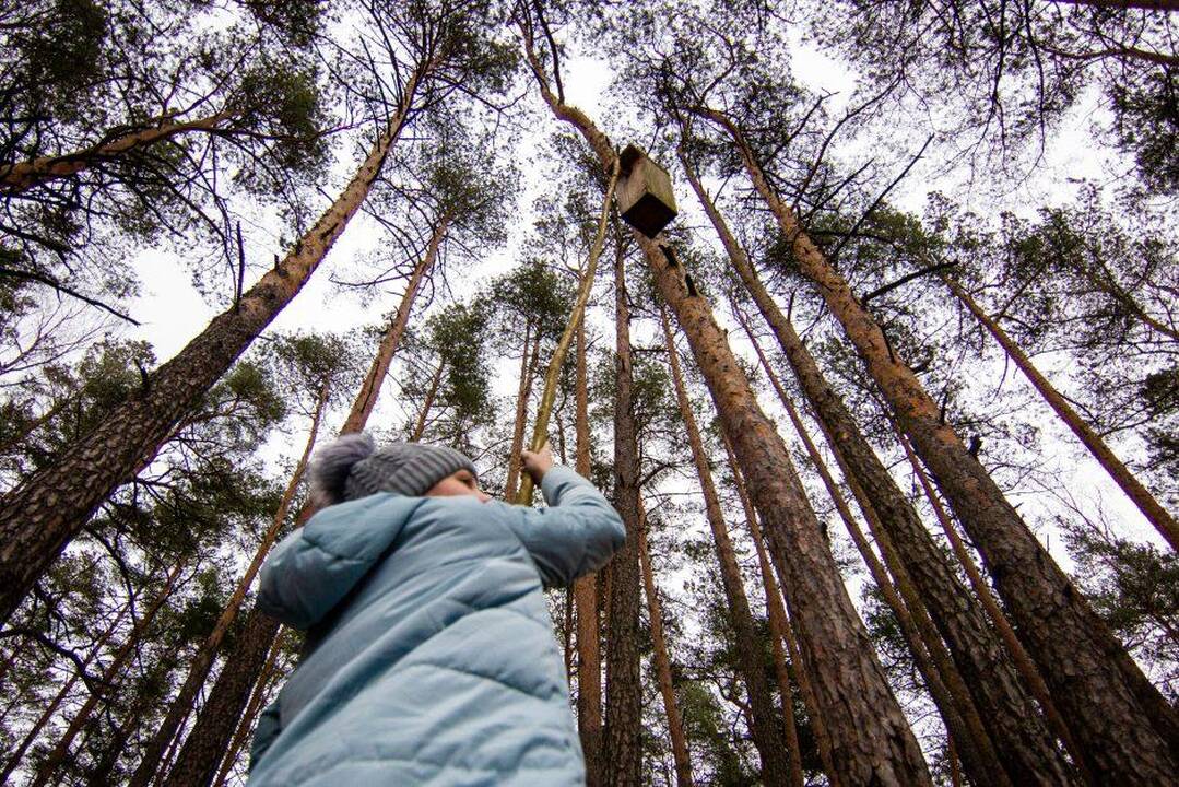 Aplinkos komitetas neapsisprendė dėl urėdijų reformos