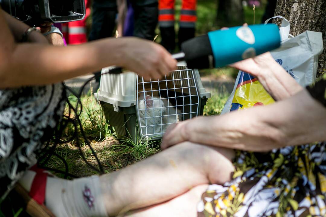 Kauno daugiabučio sienoje atsivėrė didžiulis plyšys