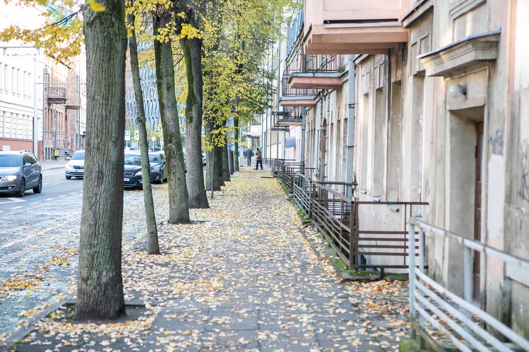 Rudeniniai lapai nuklojo Kauną