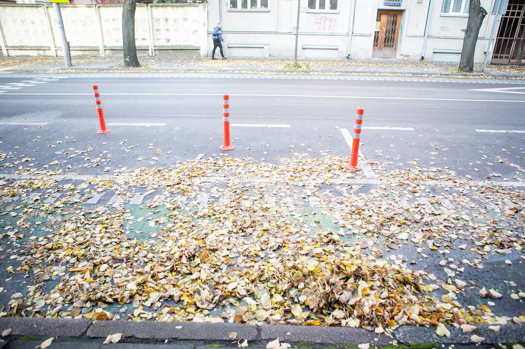 Rudeniniai lapai nuklojo Kauną