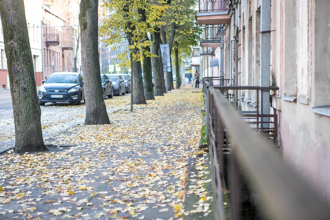 Rudeniniai lapai nuklojo Kauną