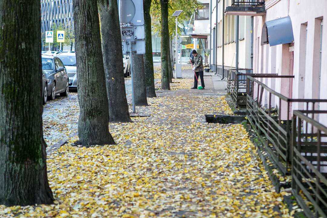 Rudeniniai lapai nuklojo Kauną