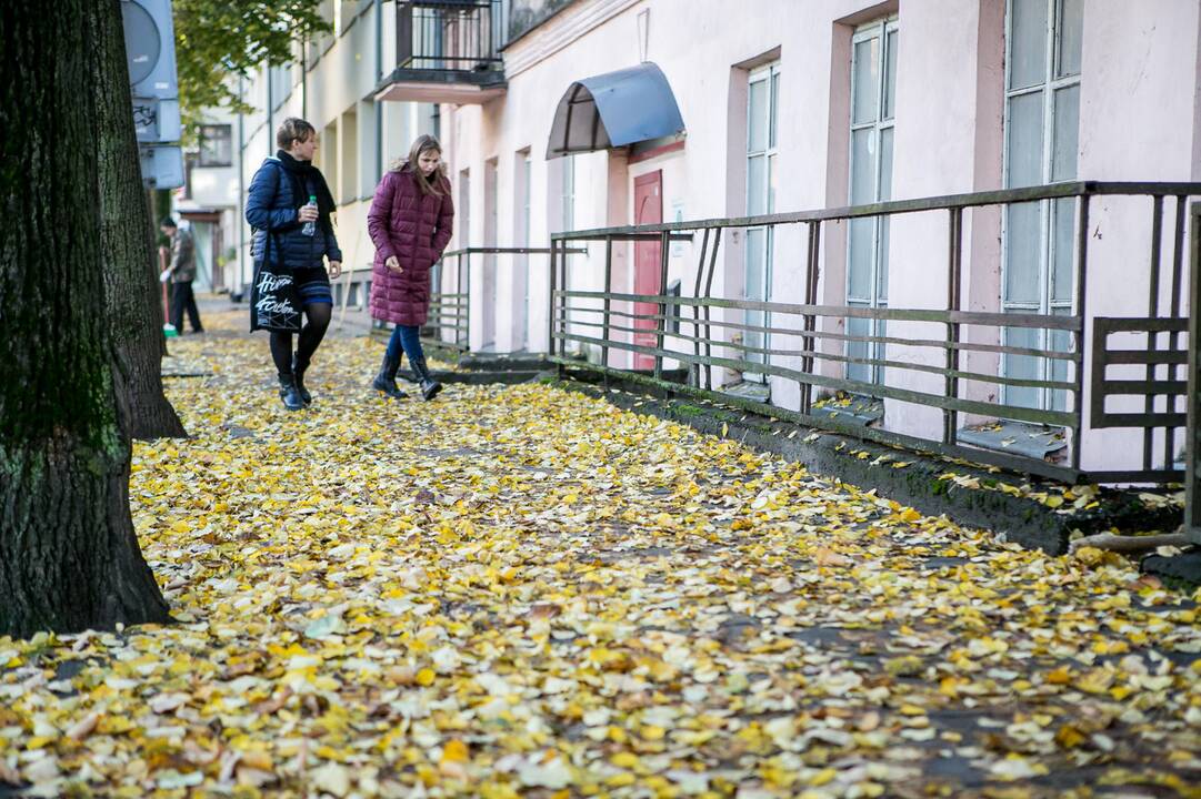 Rudeniniai lapai nuklojo Kauną