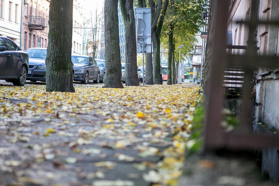 Rudeniniai lapai nuklojo Kauną