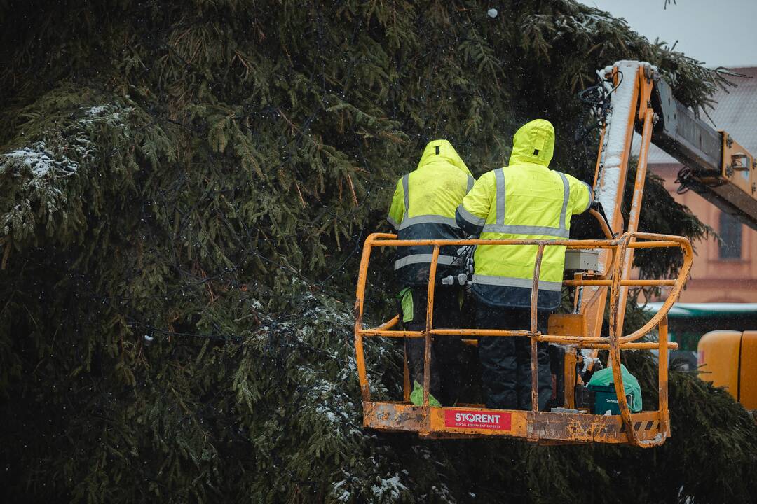 Išmontuojama „morenginė“ Kauno Kalėdų eglė