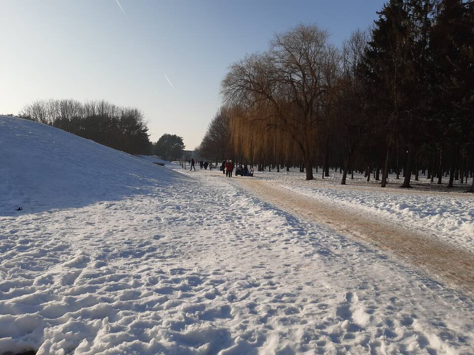 Saulėtos dienos išginė kauniečius į parkus