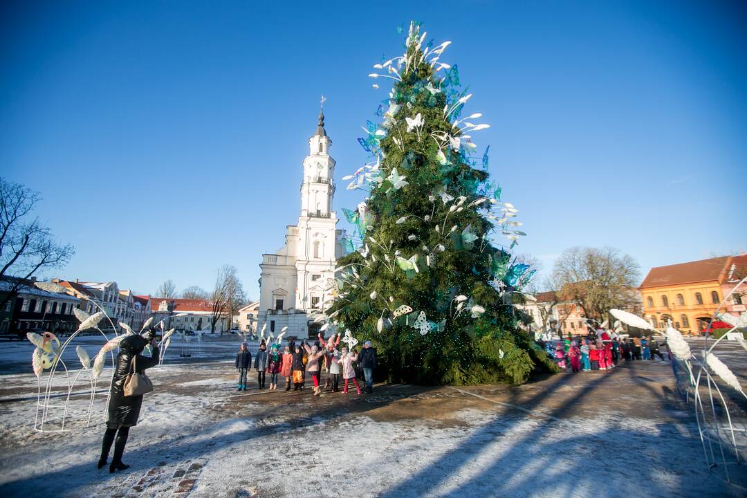 Kauniečiai leidžia laiką stebuklingame Kalėdų sode