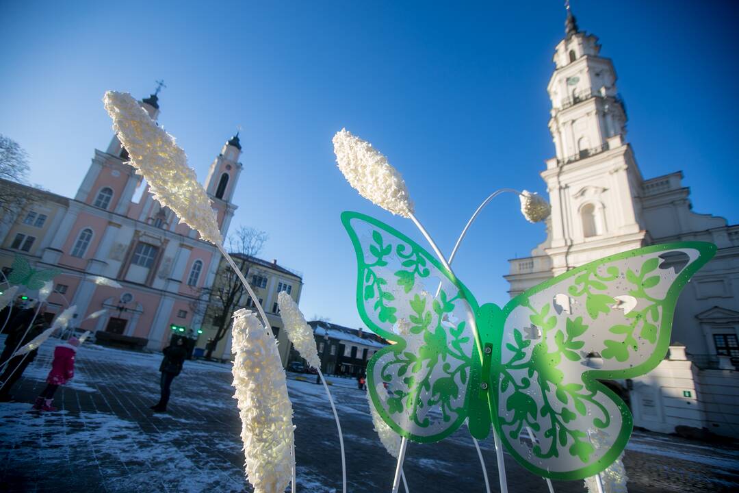Kauniečiai leidžia laiką stebuklingame Kalėdų sode