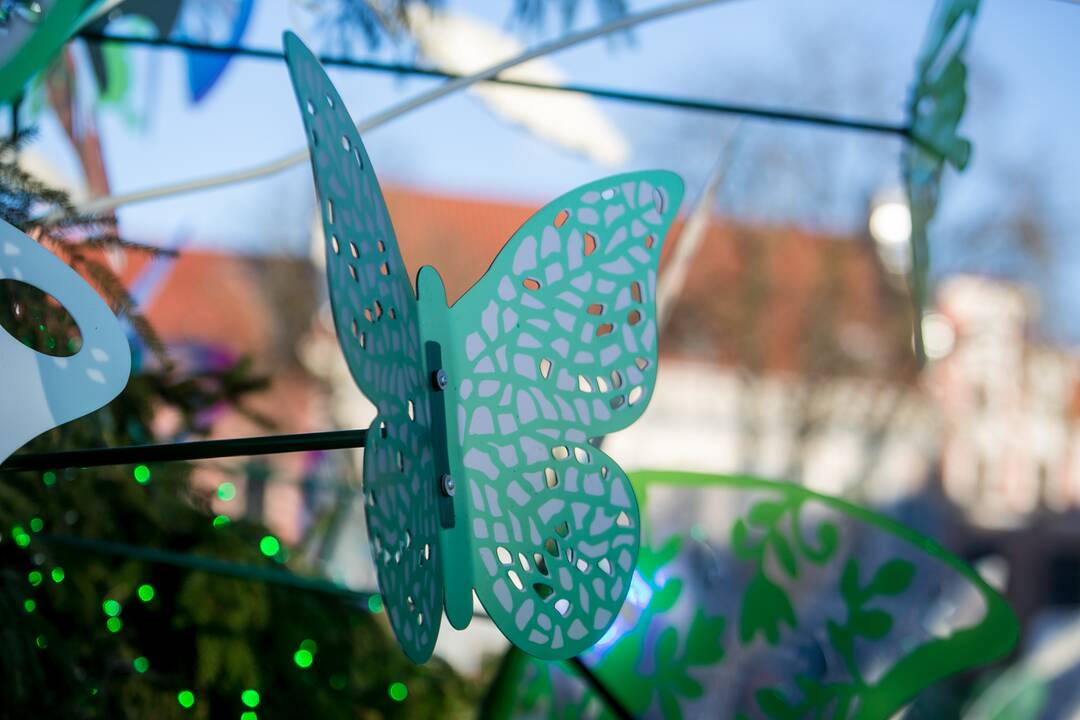 Kauniečiai leidžia laiką stebuklingame Kalėdų sode