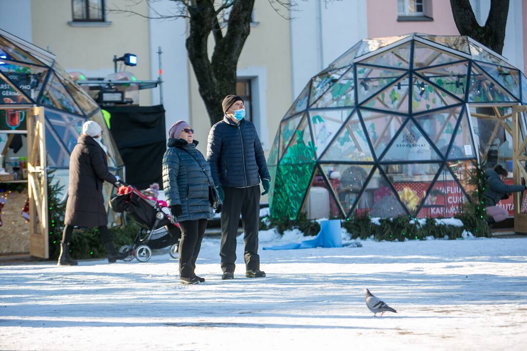 Kauniečiai leidžia laiką stebuklingame Kalėdų sode
