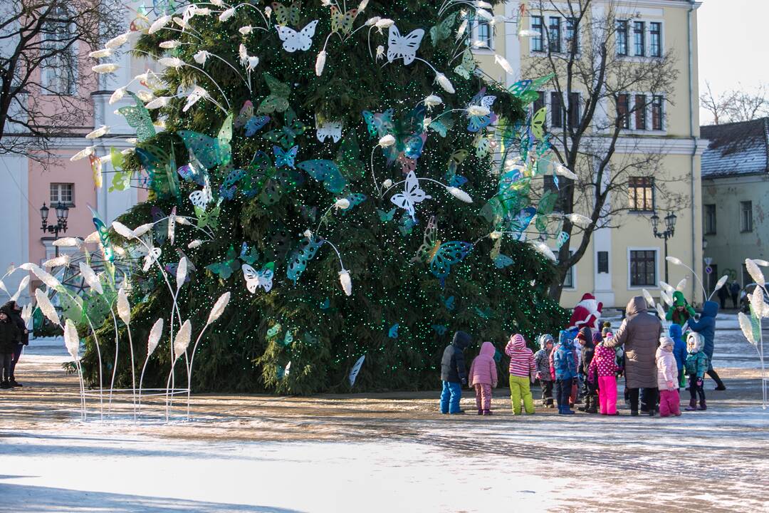 Kauniečiai leidžia laiką stebuklingame Kalėdų sode