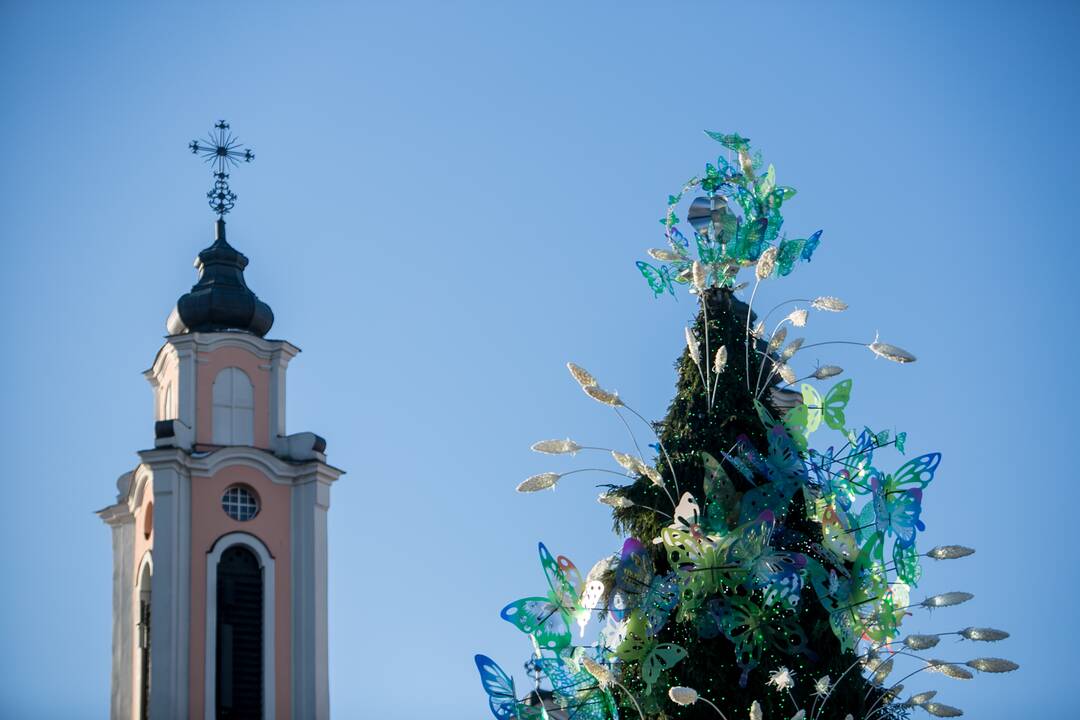 Kauniečiai leidžia laiką stebuklingame Kalėdų sode