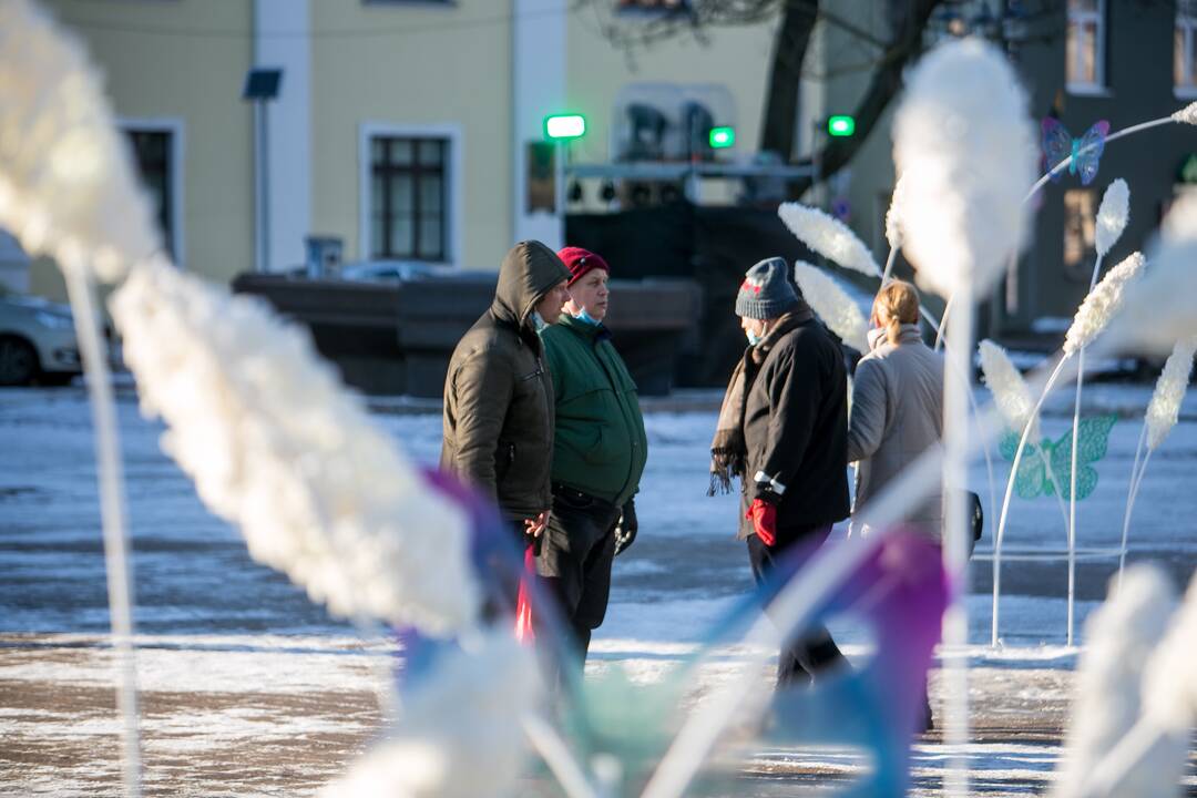 Kauniečiai leidžia laiką stebuklingame Kalėdų sode