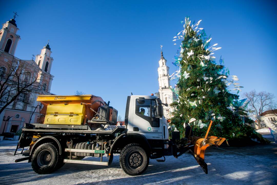 Kauniečiai leidžia laiką stebuklingame Kalėdų sode