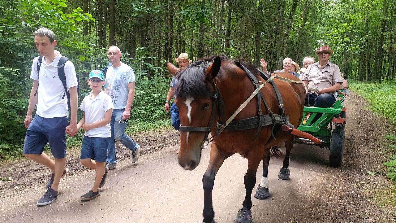 Žolinių šventė Rumšiškėse