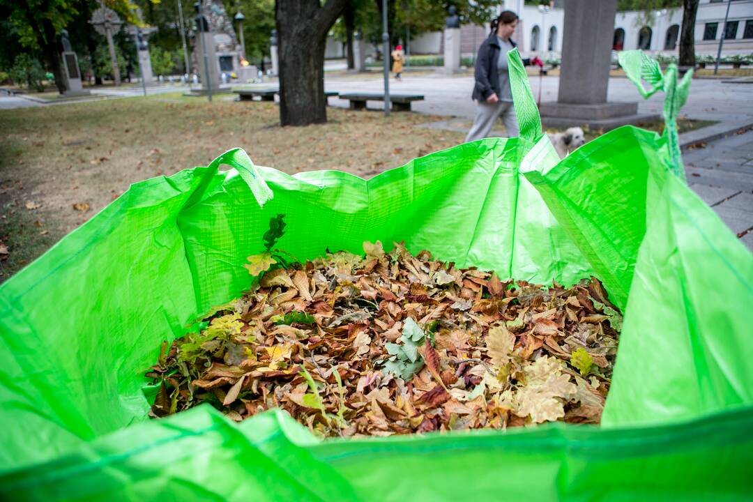 Patinka: didmaišiai – vizualiai gražūs, talpūs, patvarūs ir patogūs sudėti bei transportuoti.