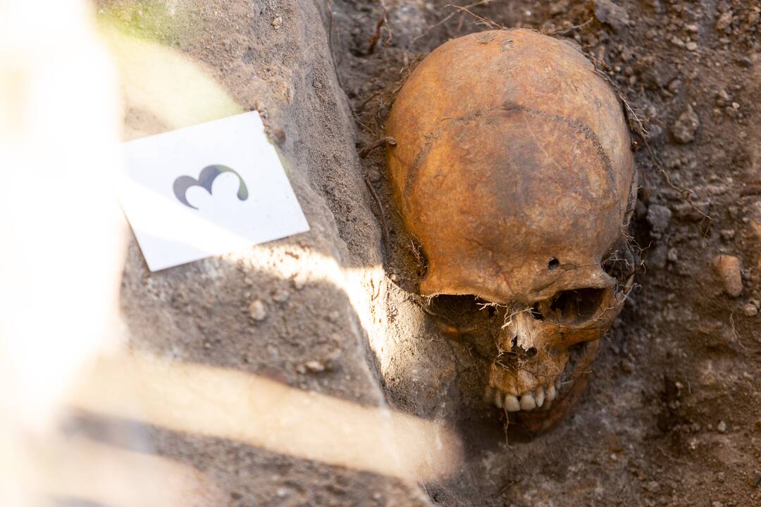 Kai randa skeletus ar kaulus: kas vyksta toliau – iš ekspertų lūpų