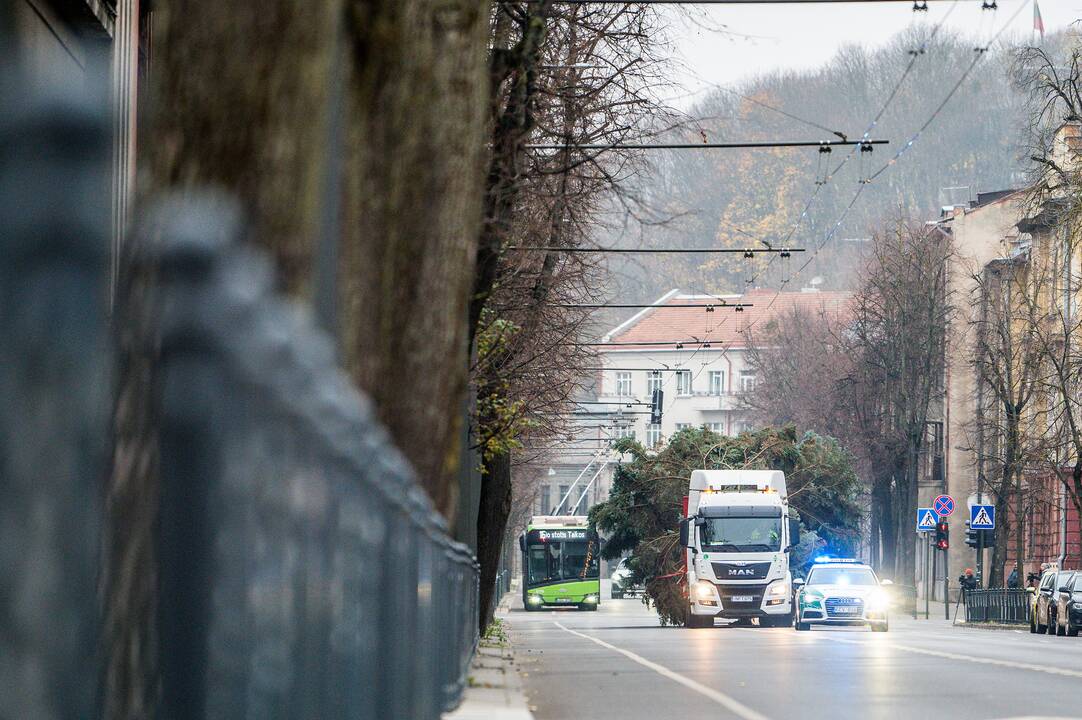 Atvyko: Vienybės aikštėje greitai prasidės eglutės puošimo darbai.