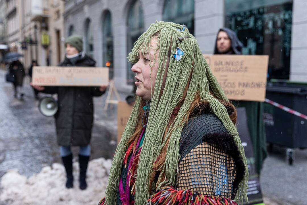 Vilniuje – aplinkosaugininkų kontroprotestas prieš ūkininkų mitingą