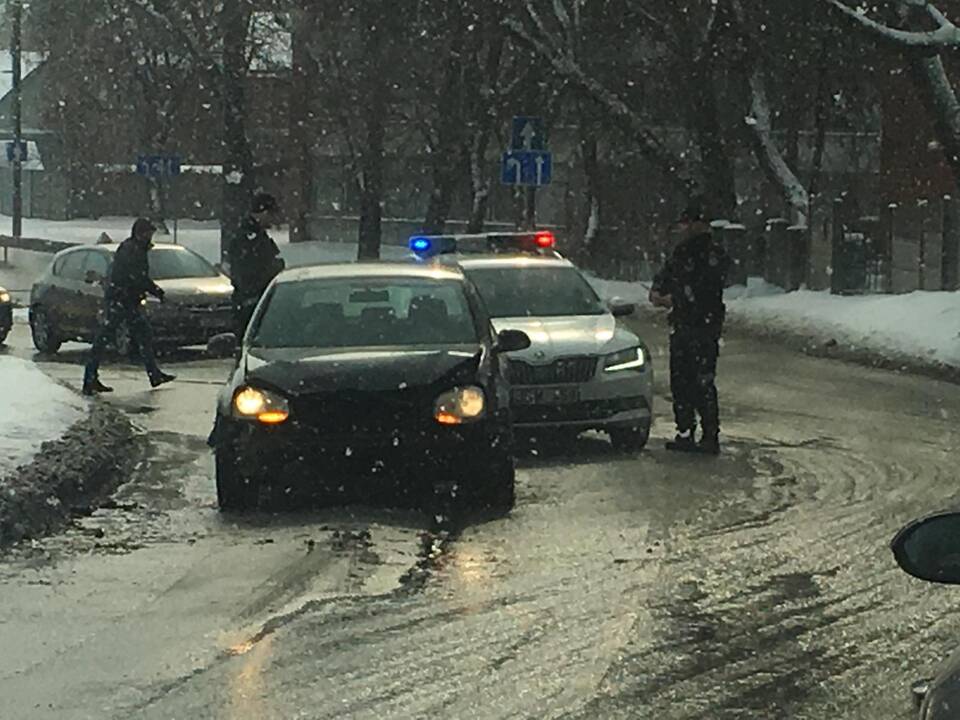 Nepilnamečio sustabdymas Birštono gatvėje