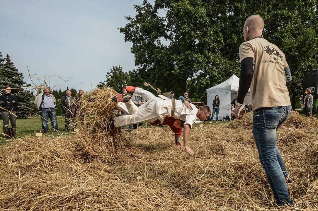 Magija: tikėta, kad švenčių išvakarėse surinkti žolynai turi stebuklingų gydančių galių, o iš 9 ar 12 augalų nupinti vainikai padeda nuspėti ateitį.