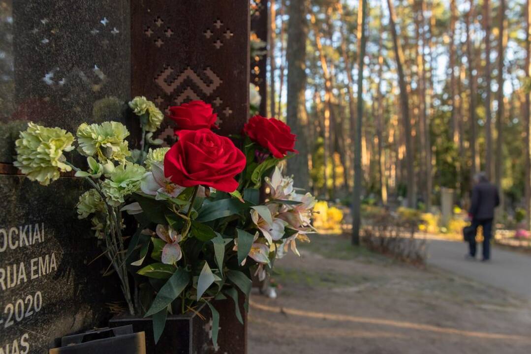 Šiandien Mirusiųjų atminimo diena – Vėlinės, Ilgės